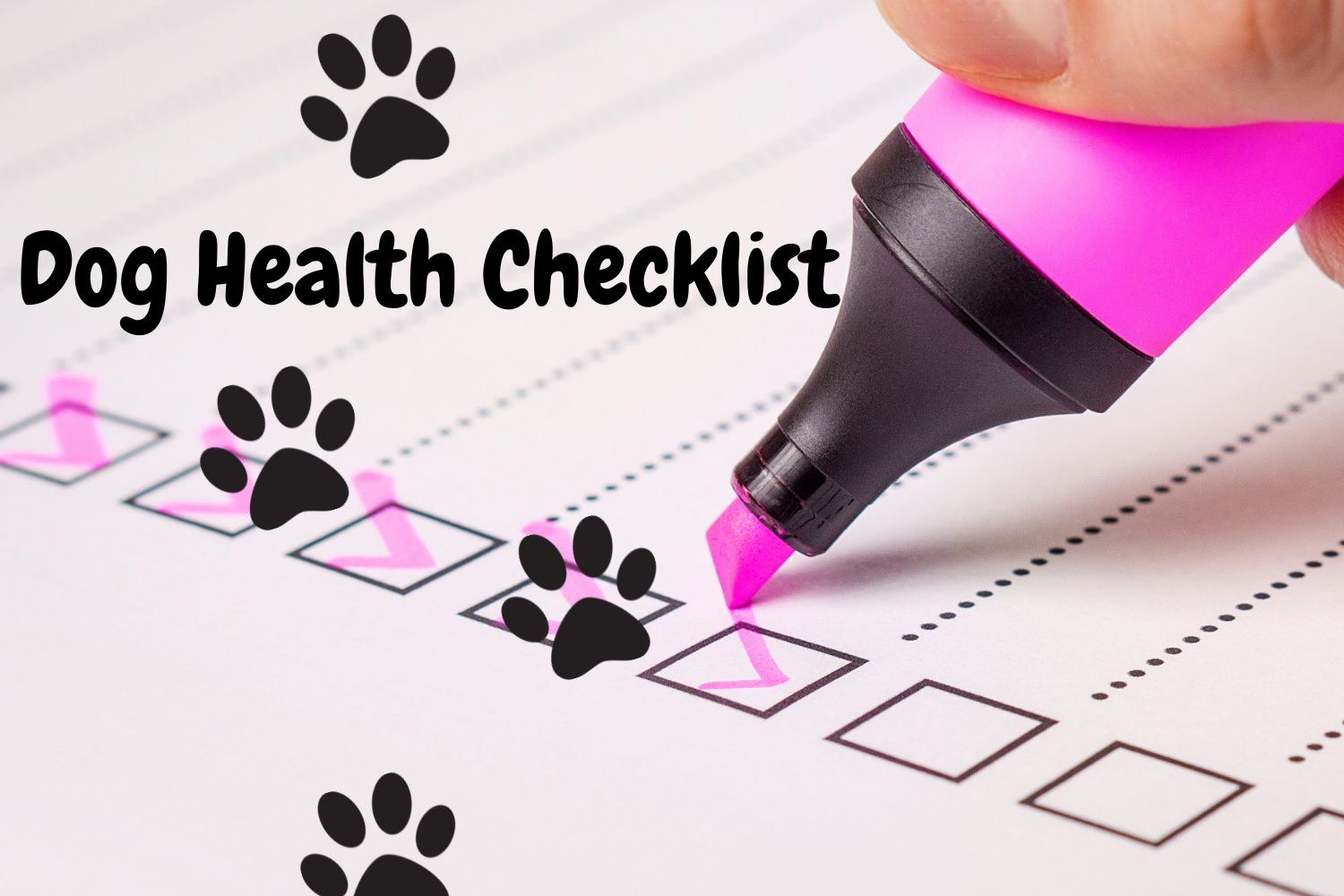 Dog health checklist
