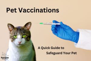 Pet Vaccinations: Safeguarding Your Pet’s Health and Happiness