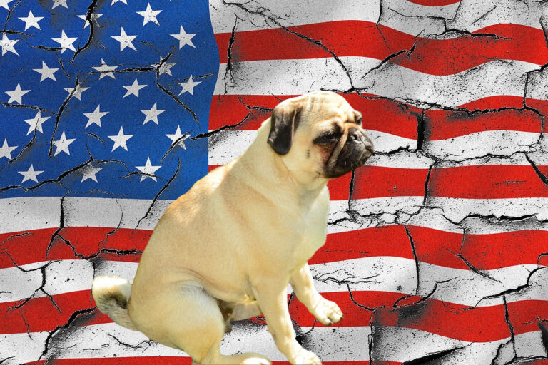 4th of July Dog Safety: Ensuring a Safe Holiday for Your Dog