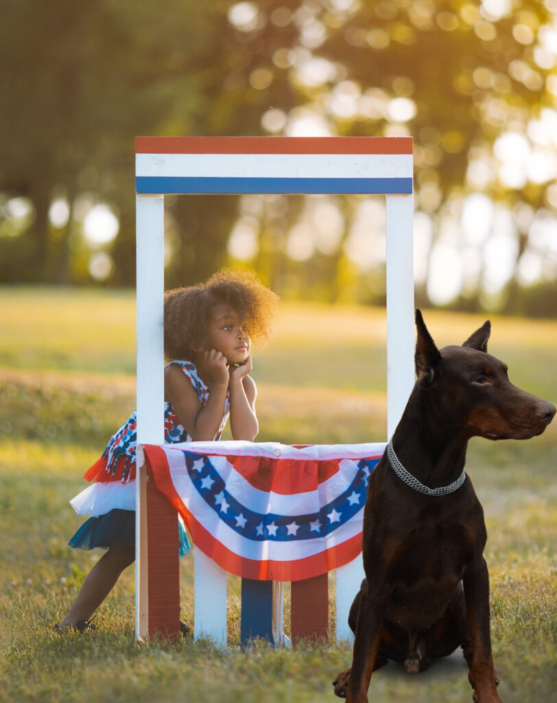 4th of july dog safety