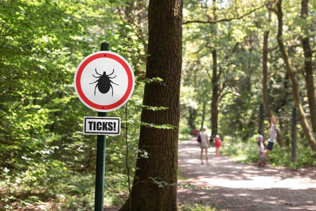facts about ticks, beware of ticks